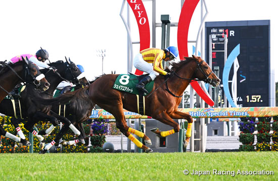 Chunichi Shimbun Hai (G3)