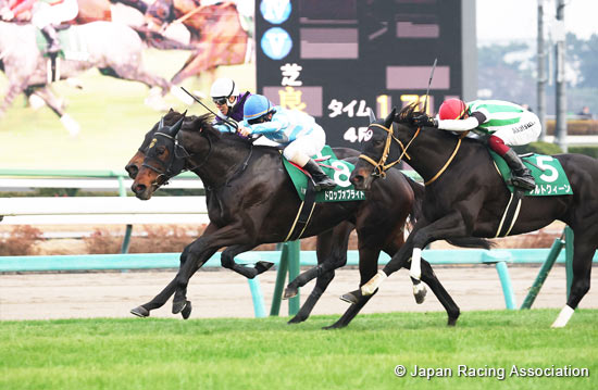 Turquoise Stakes (G3)