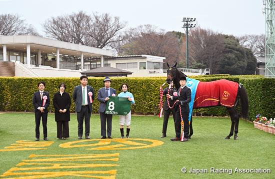 Turquoise Stakes (G3)