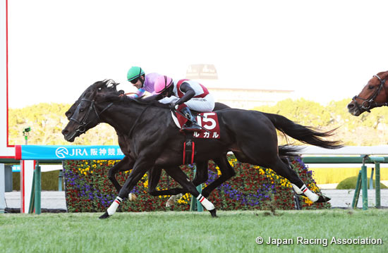 Hanshin Cup (G2)