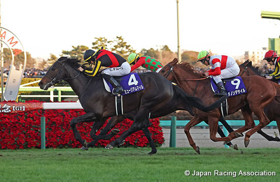 Arima Kinen (The Grand Prix) (G1)
