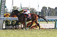 Nikkei Shinshun Hai (G2)