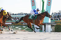 Commemoration of the Breeders' Cup Classic (G1) Victory by Forever Young Negishi Stakes (G3)