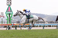 Kokura Jump Stakes (J-G3)