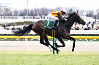 Daily Hai Queen Cup (G3)