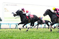 Kyoto Kinen (G2)
