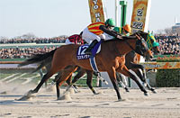 February Stakes (G1)