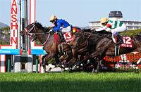 Tulip Sho (Japanese 1000 Guineas Trial) (G2)