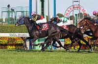 Fuji TV Sho Spring Stakes (Japanese 2000 Guineas Trial) (G2)
