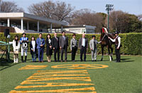 Pegasus Jump Stakes
