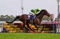 Takamatsunomiya Kinen (G1)