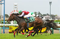 Lord Derby Challenge Trophy (G3)