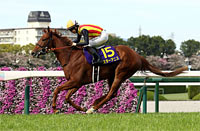 Oka Sho (Japanese 1000 Guineas) (G1)