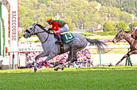 Fukushima Himba Stakes (G3)