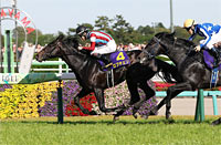 Satsuki Sho (Japanese 2000 Guineas) (G1)