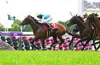 Yomiuri Milers Cup (G2)