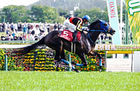 Sankei Sports Sho Flora Stakes (Japanese Oaks Trial) (G2)