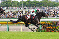 Keio Hai Spring Cup (G2)