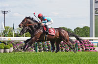 Kyoto Shimbun Hai (G2)