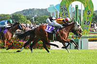 NHK Mile Cup (G1)