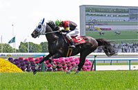 Kyoto High-Jump (J-G2)