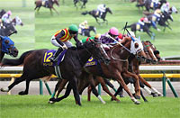 Yushun Himba (Japanese Oaks) (G1)