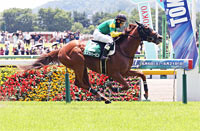 Tokyo Jump Stakes (J-G3)