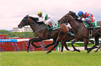 Shirasagi Stakes (G3)