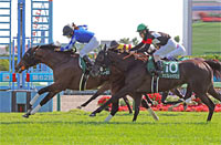 Hakodate Kinen (G3)
