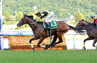 Radio Nikkei Sho (G3)