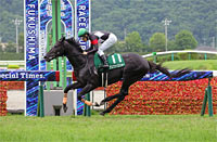 Tanabata Sho (G3)