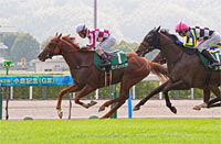 Kokura Kinen (G3)