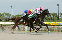 Tokai Stakes (G3)
