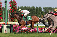 Hokkaido Shimbun Hai Queen Stakes (G3)