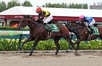 Elm Stakes (G3)