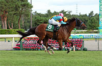 Niigata Jump Stakes (J-G3)