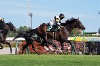 Chukyo Kinen (G3)