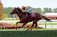 Sapporo Kinen (G2)