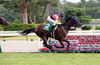 Niigata Nisai Stakes (G3)