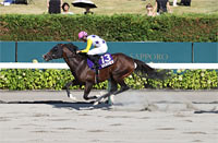 2026 World All-Star Jockeys 3rd Leg