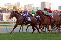 2026 World All-Star Jockeys 4th Leg