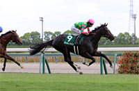 Chukyo Nisai Stakes (G3)