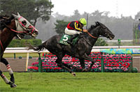 Niigata Kinen (G3)