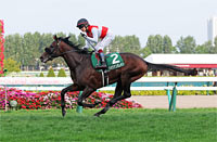 Sapporo Nisai Stakes (G3)