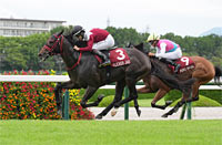 Sankei Sho Centaur Stakes (G2)