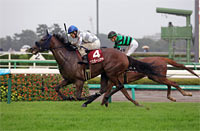 Shion Stakes (Shuka Sho Trial) (G2)