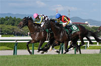 Challenge Cup (G3)