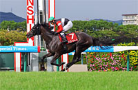 Kansai Telecasting Corp. Sho Rose Stakes (Shuka Sho Trial) (G2)