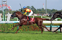 Asahi Hai St. Lite Kinen (Japanese St. Leger Trial) (G2)