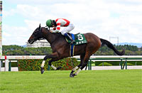 Hanshin Jump Stakes (J-G3)